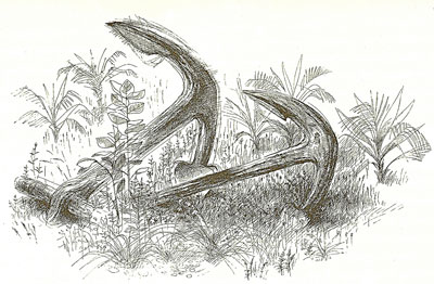 image005.jpg